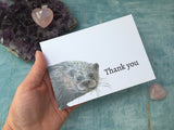 Thank you Hares - set of wildlife animal illustration thank you cards